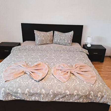 Penthouse Daniela - 3 Rooms In A Spacious Central Apartment Târgu-Mureş Εξωτερικό φωτογραφία