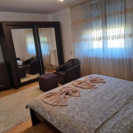 Penthouse Daniela - 3 Rooms In A Spacious Central Apartment Târgu-Mureş Εξωτερικό φωτογραφία