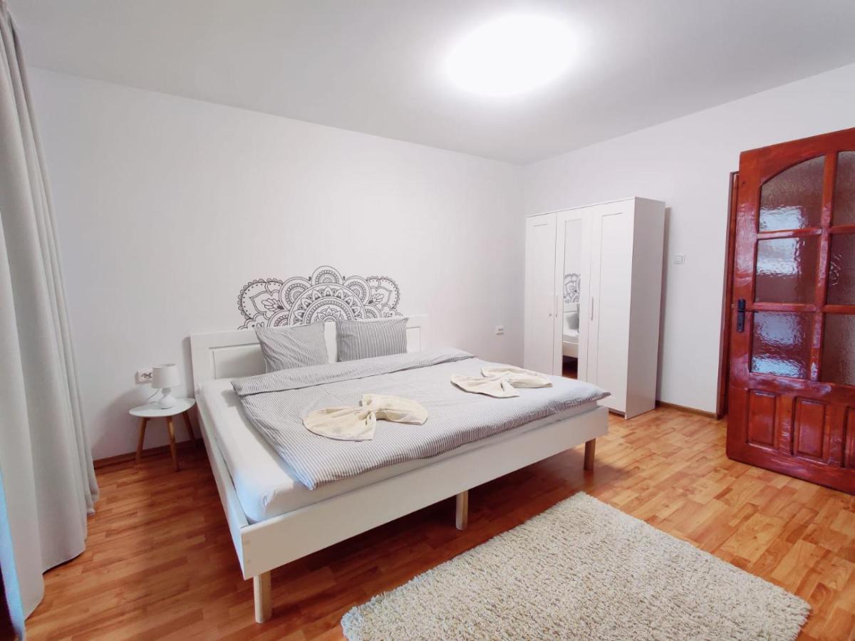 Penthouse Daniela - 3 Rooms In A Spacious Central Apartment Târgu-Mureş Εξωτερικό φωτογραφία