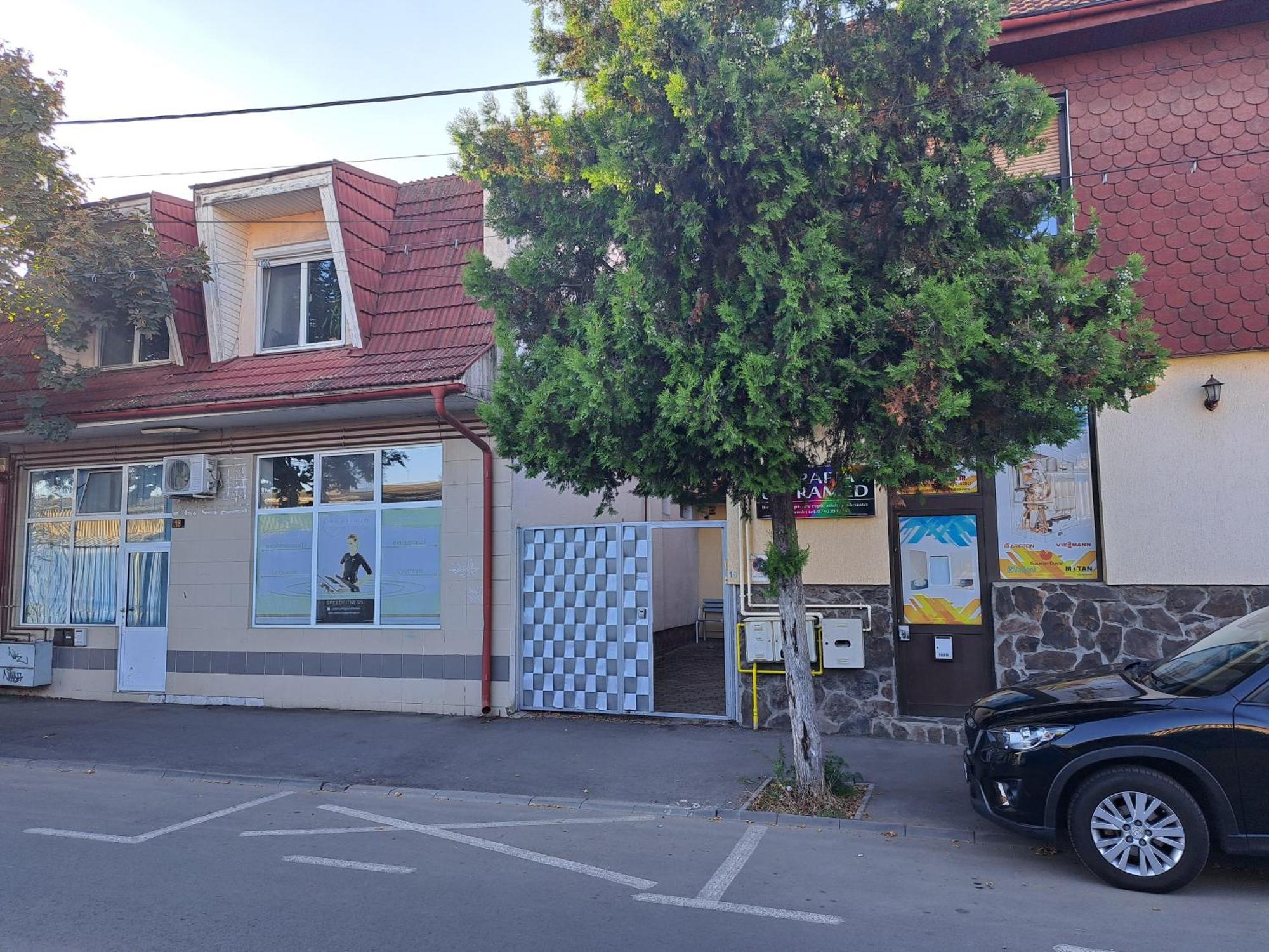 Penthouse Daniela - 3 Rooms In A Spacious Central Apartment Târgu-Mureş Εξωτερικό φωτογραφία